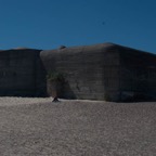 DSC_0017.jpg